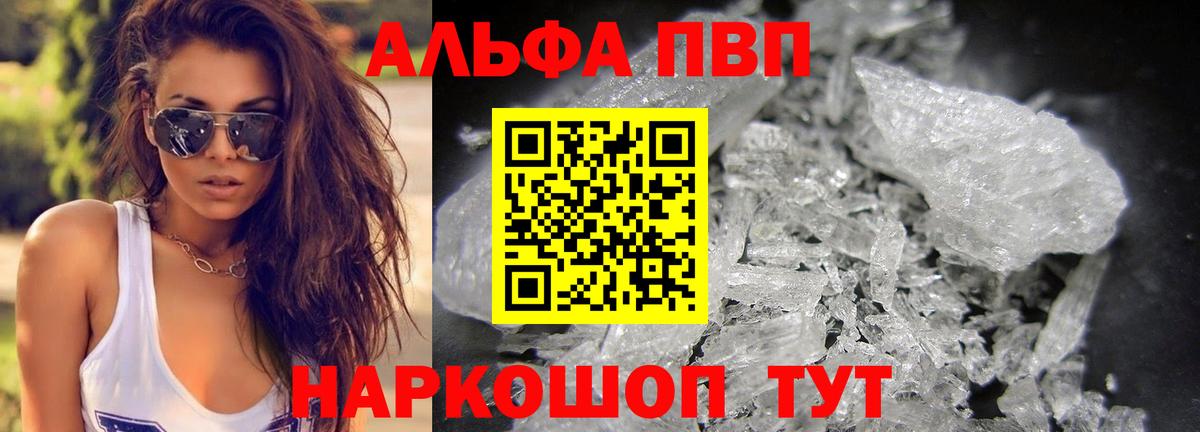 Альфа ПВП СК Владикавказ