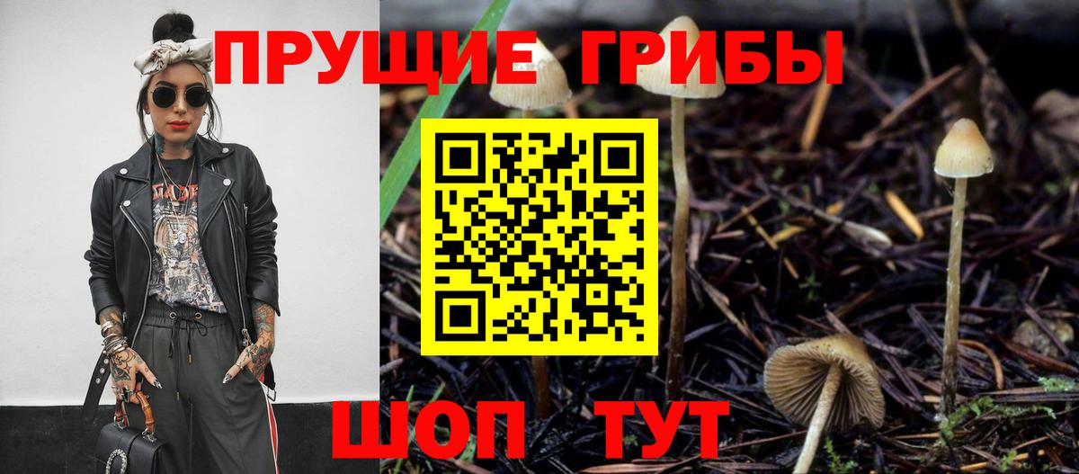 Галлюциногенные грибы мухоморы Владикавказ